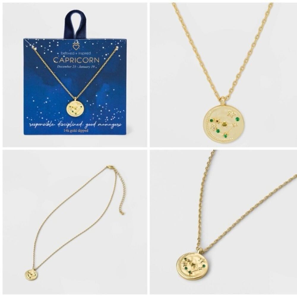 NWT! Beloved + Inspired 14K Gold Dipped 'Capricorn' Disc with Stones Necklace